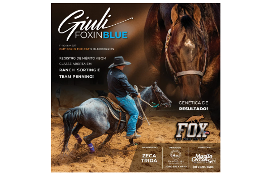 GIULI FOXINBLUE
